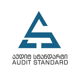 Audit Standard